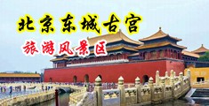 嘿人大屌中国北京-东城古宫旅游风景区